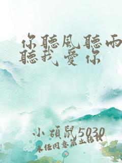 你听风听雨却不听我爱你