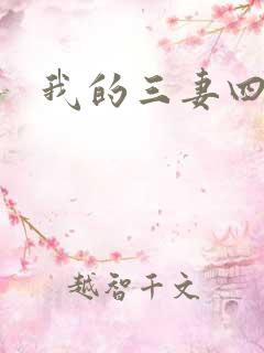 我的三妻四妾