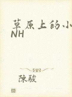 草原上的小公主NH