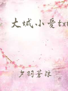 大城小爱txt