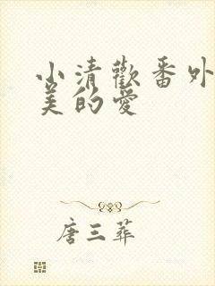 小清欢番外篇完美的爱