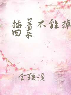 插着不能掉等我回来