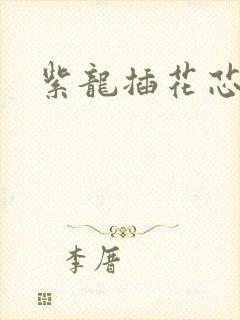 紫龙插花芯方正