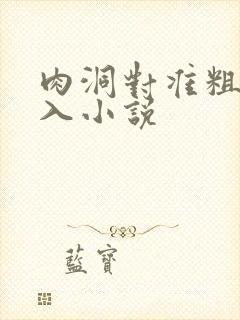 肉洞对准粗大坐入小说