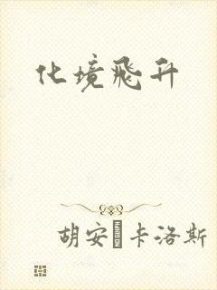 化境飞升