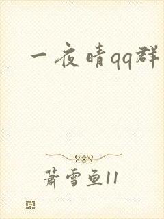 一夜晴qq群
