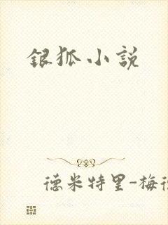 银狐小说
