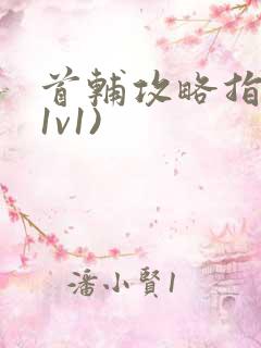 首辅攻略指南(1v1)