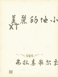 美丽的他小说TXT