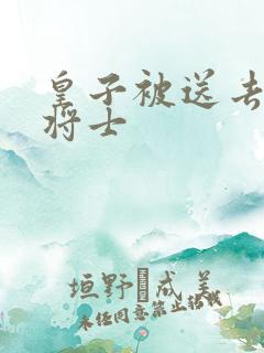 皇子被送去犒劳将士