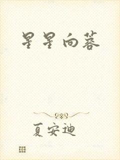 星星向蓉