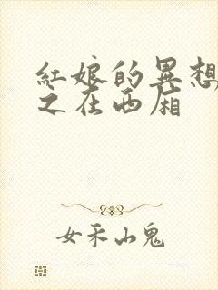 红娘的异想世界之在西厢