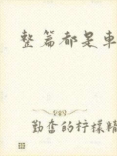 整篇都是车的肉