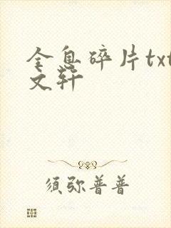 全息碎片txt文轩