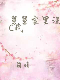 舅舅家里没人快C我