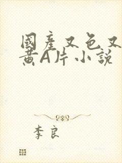 国产又色又爽又黄A片小说