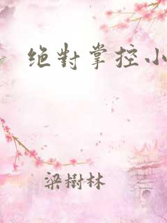 绝对掌控小说