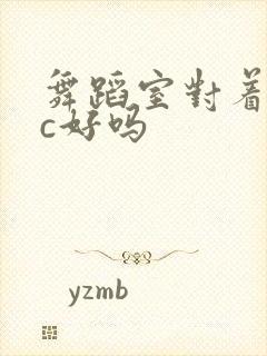 舞蹈室对着镜子c好吗