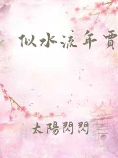 似水流年贾二虎