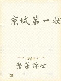 京城第一状师