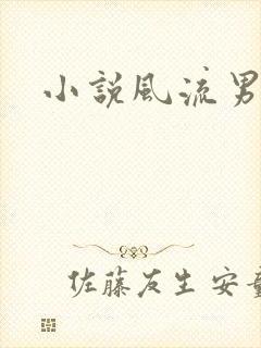 小说风流男护理