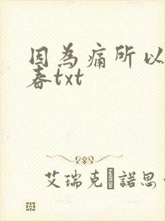 因为痛所以叫青春txt