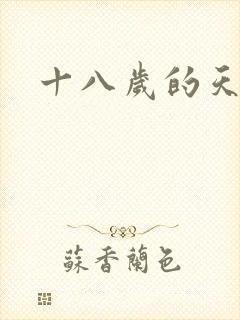 十八岁的天空续