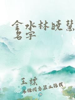 金水林晓慧小说名字