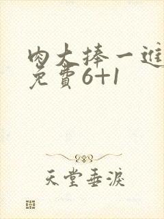 肉大捧一进一出免费6+1