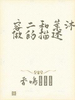 容二和叶沐走着做的描述