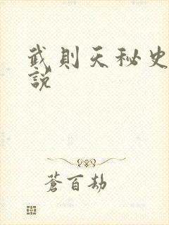 武则天秘史 小说