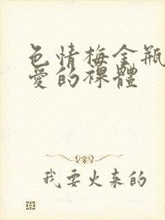 色情梅金瓶2之爱的裸体