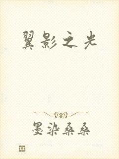 翼影之光