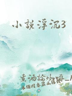 小说浮沉3