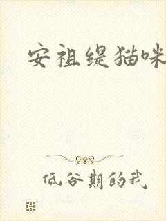 安祖缇猫咪抱抱