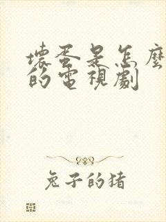 坏蛋是怎么炼成的电视剧