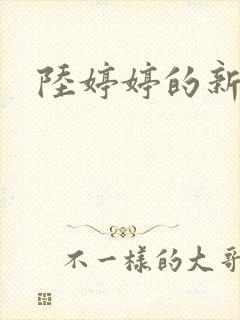 陆婷婷的新故事