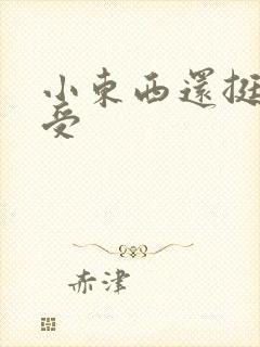 小东西还挺会享受