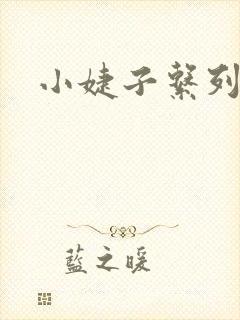 小婕子系列小说