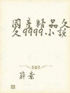 国产精品久久久久9999小说