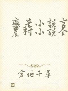 恋老小说言情网农村小说全文阅读