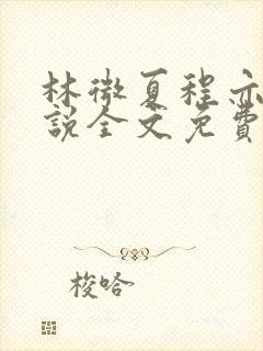 林微夏程亦风小说全文免费