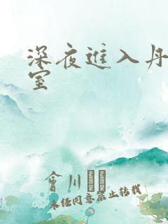 深夜进入丹丹卧室