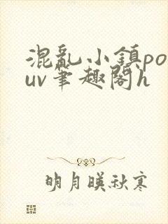 混乱小镇popuv笔趣阁h