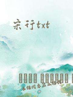 宋行txt