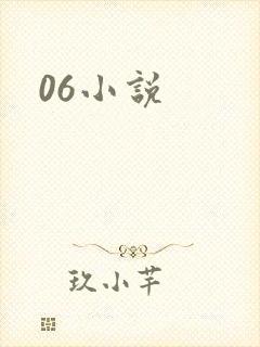 06小说