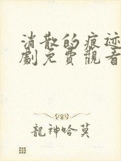 消散的痕迹电视剧免费观看完整版