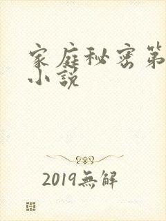 家庭秘密第3集小说