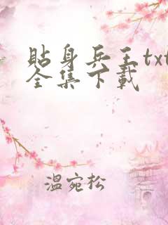 贴身兵王txt全集下载