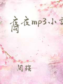 夜夜mp3小说网
